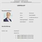 Professioneller Lebenslauf Vorlage Word Erstaunlich 16 Professioneller Lebenslauf