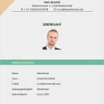 Professioneller Lebenslauf Vorlage Word Fabelhaft Professioneller Lebenslauf Muster Lebenslauf Beispiel
