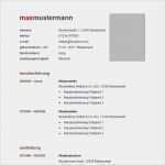 Professioneller Lebenslauf Vorlage Word Fabelhaft Word Lebenslauf Lebenslauf Beispiel