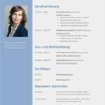 Professioneller Lebenslauf Vorlage Word Hübsch Gut Professioneller Lebenslauf Tabellarisch Tabellarischer