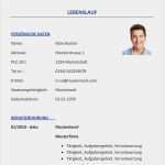 Professioneller Lebenslauf Vorlage Word Luxus Professioneller Lebenslauf Vorlage Kostenlos Lebenslauf
