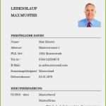 Professioneller Lebenslauf Vorlage Word Neu 21 Lebenslauf In Word Erstellen