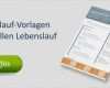 Profi Lebenslauf Vorlage Erstaunlich Der Berufliche Werdegang Im Lebenslauf Die Komplette
