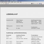 Profi Lebenslauf Vorlage Hübsch Microsoft Word Lebenslauf Vorlage