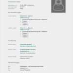 Profiltext Vorlage Angenehm Lebenslauf Chronologisch Mit Profil Elemente Des