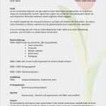 Profiltext Vorlage Best Of Lebenslauf Profil