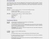 Profiltext Vorlage Erstaunlich Latex Templates Curricula Vitae Résumés