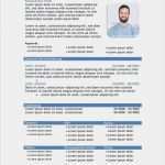 Profiltext Vorlage Schönste Vorlage Lebenslauf Mit Profil In Tabellarischer form