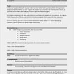 Profiltext Vorlage Wunderbar Lebenslauf Profil