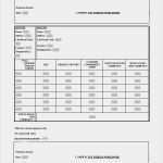 Proforma Invoice Vorlage Word Inspiration 9 Invoice Word Samples
