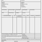 Proforma Invoice Vorlage Word Neu Sample Mercial Invoice