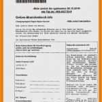 Proforma Rechnung Zoll Vorlage Bewundernswert 17 Vorlage Proforma Rechnung Zoll