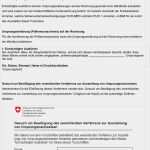 Proforma Rechnung Zoll Vorlage Fabelhaft Ursprungserklärung Auf Rechnung Anhang 1 D0285