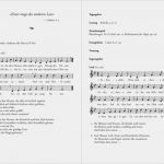 Programmheft Hochzeit Vorlage Wunderbar Prinzipalsatz Typographie