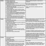 Project Charter Vorlage Angenehm Project Charter Template Pmi Niedlich Pmp Projekt Charter