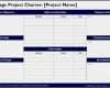 Project Charter Vorlage Elegant Niedlich Pmbok Vorlage Zeitgenössisch Beispiel