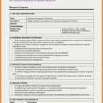 Project Charter Vorlage Großartig Elegant Sample Project Charter Cg63 – Documentaries for