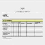 Project Charter Vorlage Süß Lessons Learned Template Excel