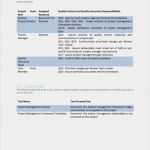 Project Charter Vorlage Süß Project Charter Template Pmi Niedlich Pmp Projekt Charter