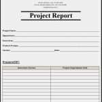 Project Status Report Vorlage Beste Project Status Report Template Project Report Template