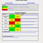 Project Status Report Vorlage Schönste Project Management Status Report Template to Pin