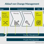 Projekt Konzept Vorlage Cool Change Management & Diagnostics