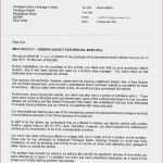 Projekt Planen Vorlage Luxus Excel Marketingplan Vorlage Muster