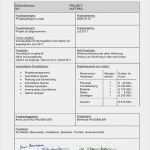 Projektauftrag Vorlage Pdf Einzigartig Muster Projekthandbuch Einfamilienhaus