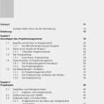 Projektauftrag Vorlage Pdf Gut Projektmanagement Mit Excel Pdf