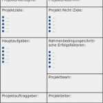 Projektauftrag Vorlage Pdf Hübsch Projektauftrag
