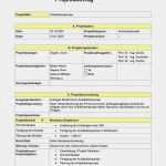 Projektauftrag Vorlage Pdf Hübsch Projektauftrag Sdegner284