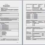 Projektauftrag Vorlage Pdf Süß Projektbeschreibung Vorlage Schule Elegante Projektauftrag