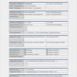 Projektauftrag Vorlage Pdf Wunderbar Bestpractice