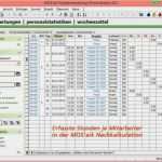 Projektauswertung Vorlage Beste Dimmel software Gmbh