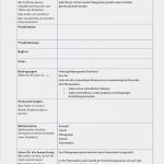 Projektauswertung Vorlage Schönste Projektauftrag