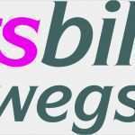 Projektauswertung Vorlage Wunderbar Downloads