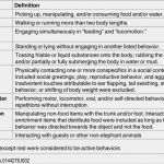 Projektbericht Vorlage Kostenlos Hübsch Schön Ethogramm Vorlage Fotos Dokumentationsvorlage