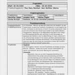 Projektbeschreibung Vorlage Schule Erstaunlich Inf Schule