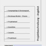 Projektbeschreibung Vorlage Word Angenehm Beratungsangebot Vorlage Phdr Martin Müller