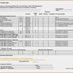 Projektevaluation Vorlage Hübsch Greatest Nonprofit Program Evaluation Template Fd29