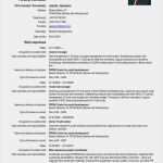 Projektliste Vorlage Word Inspiration 15 Lebenslauf Elektriker