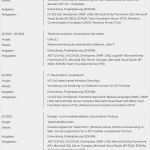 Projektliste Vorlage Word Luxus Lebenslauf softwareentwickler