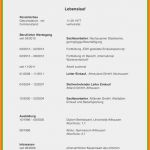 Projektliste Vorlage Word Schön 9 Nebenjob Im Lebenslauf Beispiel