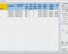 Projektmanagement Access Vorlage Erstaunlich Sap Project Management Using Excel