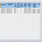 Projektmanagement Access Vorlage Erstaunlich Sap Project Management Using Excel