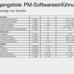 Projektmanagement Dokumentation Vorlage Erstaunlich Projektbeispiel „einführung Einer Pm software