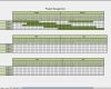 Projektmanagement Excel Vorlage Schön Projektmanagement software Mit Excel Vorlagen