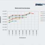 Projektmanagement Handbuch Vorlage Schön Download Templates
