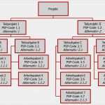 Projektmanagement Netzplan Vorlage Erstaunlich Projektstrukturplan Definition Im Projektmanagement