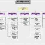 Projektmanagement Psp Vorlage Erstaunlich Projektstrukturplan Opm Beratung Bertram Koch